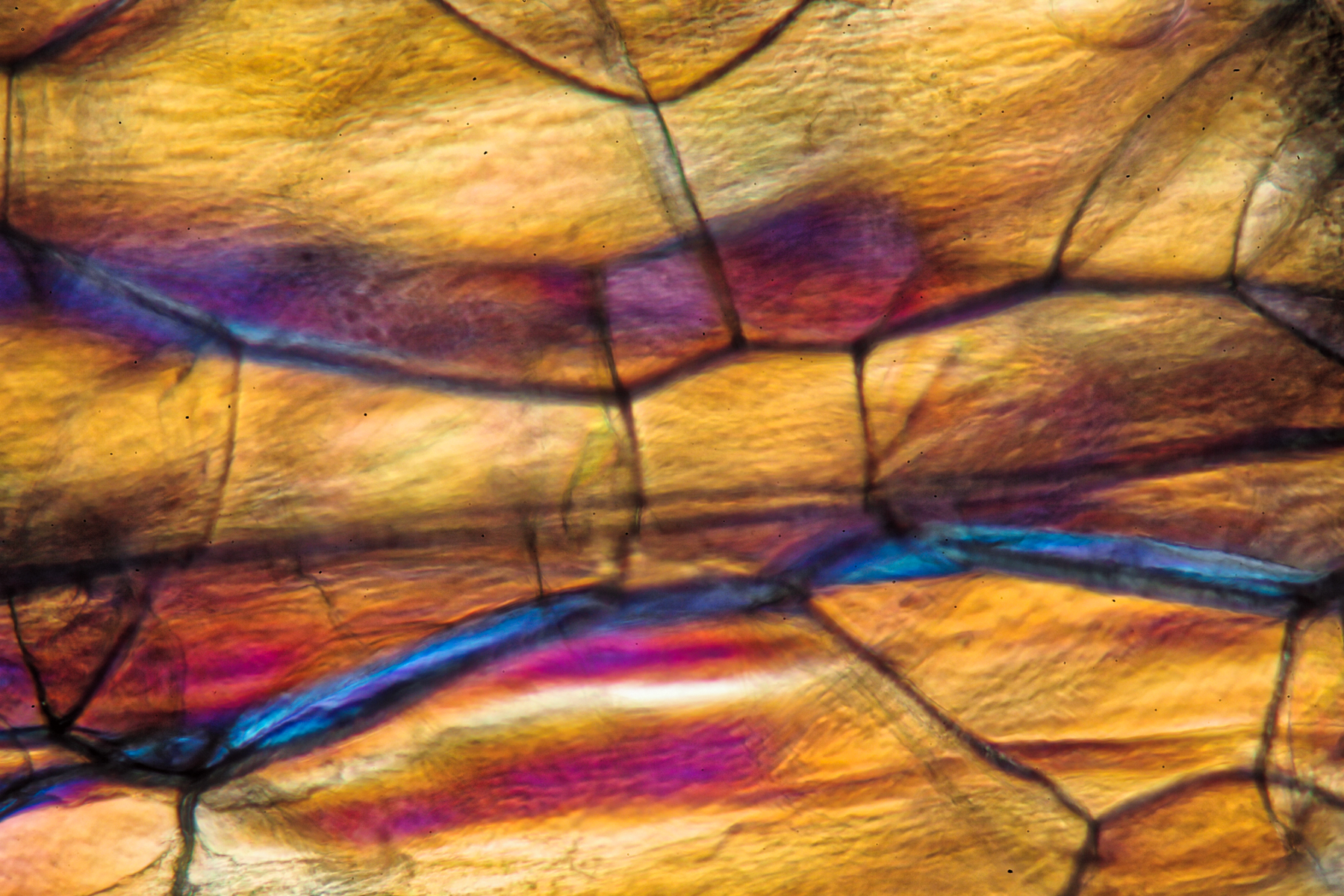 Polystyrene under a microscope