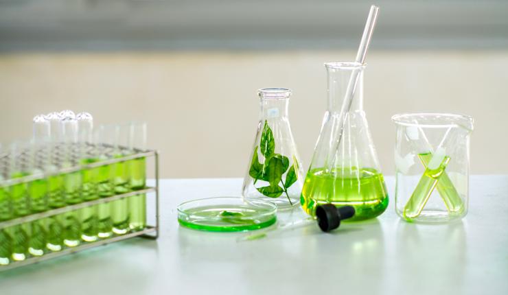 Biocontrol Testing